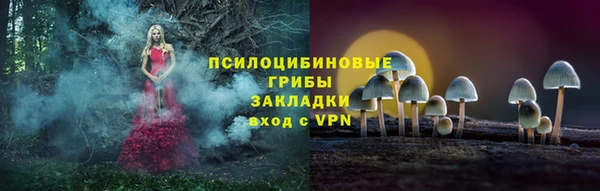 стаф Гусь-Хрустальный