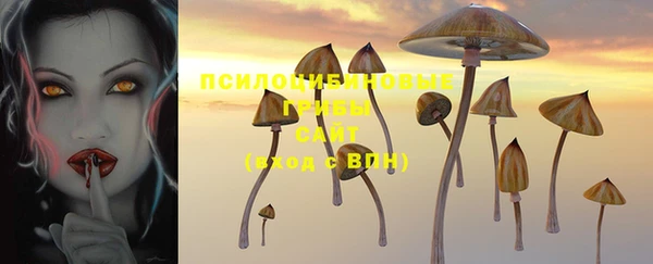 стаф Гусь-Хрустальный