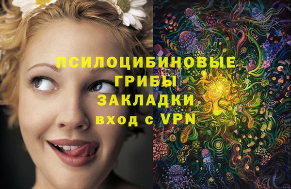 соль курить ск Дмитров