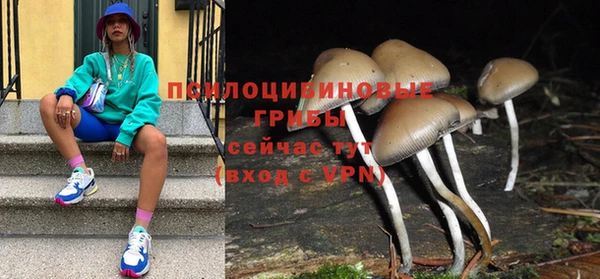 ешки Гусиноозёрск