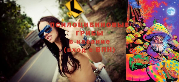 ешки Гусиноозёрск