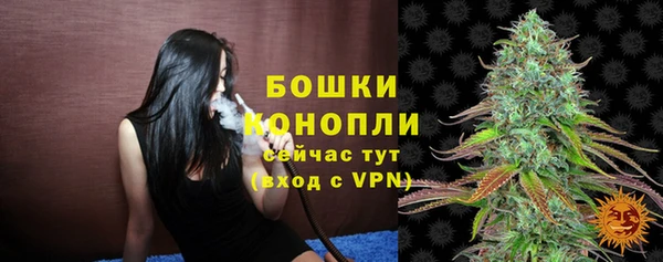 стаф Гусь-Хрустальный