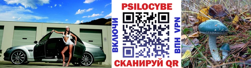 ОМГ ОМГ как войти  Енисейск  Псилоцибиновые грибы мухоморы 
